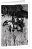 Early Pioneers on the Blue Ridge by Frederic Remington (after)
