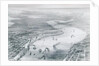 Bird's-Eye View of New Orleans by J. Wells
