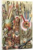 Weapons, utensils and ornaments of American Indians by English School