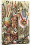 Weapons, utensils and ornaments of American Indians by English School