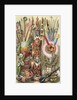 Weapons, utensils and ornaments of American Indians by English School