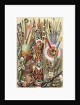 Weapons, utensils and ornaments of American Indians by English School