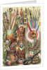 Weapons, utensils and ornaments of American Indians by English School