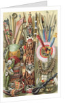 Weapons, utensils and ornaments of American Indians by English School