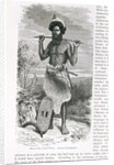 Man of New South Wales by English School