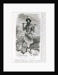 Man of New South Wales by English School