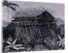 House in the Arfak village of Memiwa, New Guinea by French School