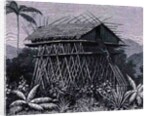 House in the Arfak village of Memiwa, New Guinea by French School
