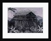 House in the Arfak village of Memiwa, New Guinea by French School