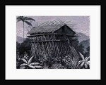 House in the Arfak village of Memiwa, New Guinea by French School