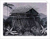 House in the Arfak village of Memiwa, New Guinea by French School