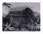 House in the Arfak village of Memiwa, New Guinea by French School