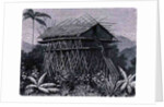 House in the Arfak village of Memiwa, New Guinea by French School