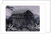 House in the Arfak village of Memiwa, New Guinea by French School