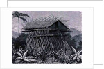 House in the Arfak village of Memiwa, New Guinea by French School