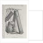 African drums by English School