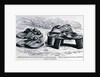 Sandals and pattens from the West Soudan, possibly Mandingo by English School