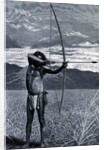 A Veddah of Ceylon shooting with the bow by Emil Schmidt
