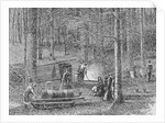At the Maple Syrup Camp by (after) American School