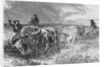 The Prairie Sod Plow by (after) American School