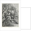 Extracting Pulque by Edouard Riou