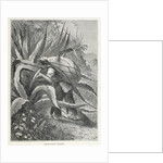 Extracting Pulque by Edouard Riou