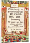 Title page from the Luther Bible, c.1530 by German School
