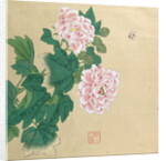 Bee and peony by Ichimiosai by Anonymous