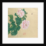 Bee and peony by Ichimiosai by Anonymous