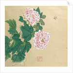 Bee and peony by Ichimiosai by Anonymous