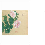 Bee and peony by Ichimiosai by Anonymous