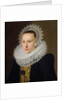 Portrait of a Lady by Cornelis van der Voort