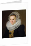 Portrait of a Lady by Cornelis van der Voort