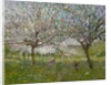Apple Trees in Flower by Ernest Quost