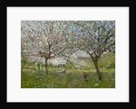 Apple Trees in Flower by Ernest Quost