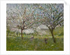 Apple Trees in Flower by Ernest Quost