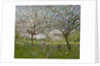 Apple Trees in Flower by Ernest Quost