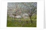 Apple Trees in Flower by Ernest Quost