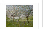 Apple Trees in Flower by Ernest Quost