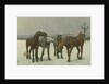 Cab Horses on the Seine by Cecil Brown