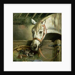 Horse and kittens, 1890 by Moritz Muller