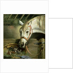 Horse and kittens, 1890 by Moritz Muller