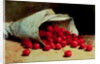 A Spilled Bag of Cherries by Antoine Vollon