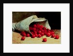 A Spilled Bag of Cherries by Antoine Vollon