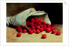 A Spilled Bag of Cherries by Antoine Vollon