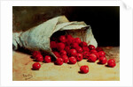 A Spilled Bag of Cherries by Antoine Vollon
