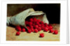 A Spilled Bag of Cherries by Antoine Vollon