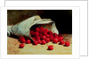 A Spilled Bag of Cherries by Antoine Vollon