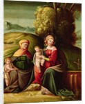 The Virgin and Child with St. Elizabeth and St. John in a landscape by Battista Dossi