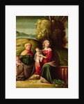 The Virgin and Child with St. Elizabeth and St. John in a landscape by Battista Dossi